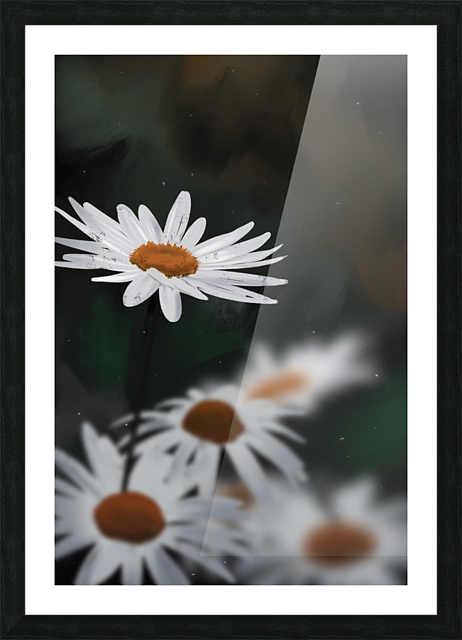 Daisies from a Dream 2 Picture Frame print