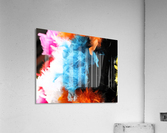Colourful Feathers Acrylic Print