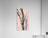 Istambul Dancing Tree Acrylic Print