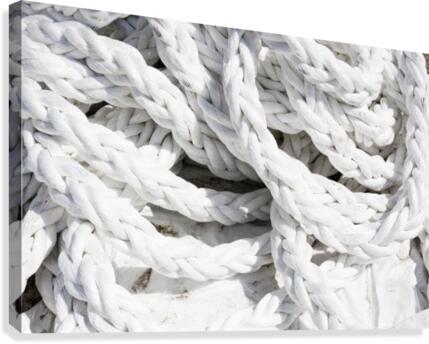 White Harbor Ropes Canvas Print