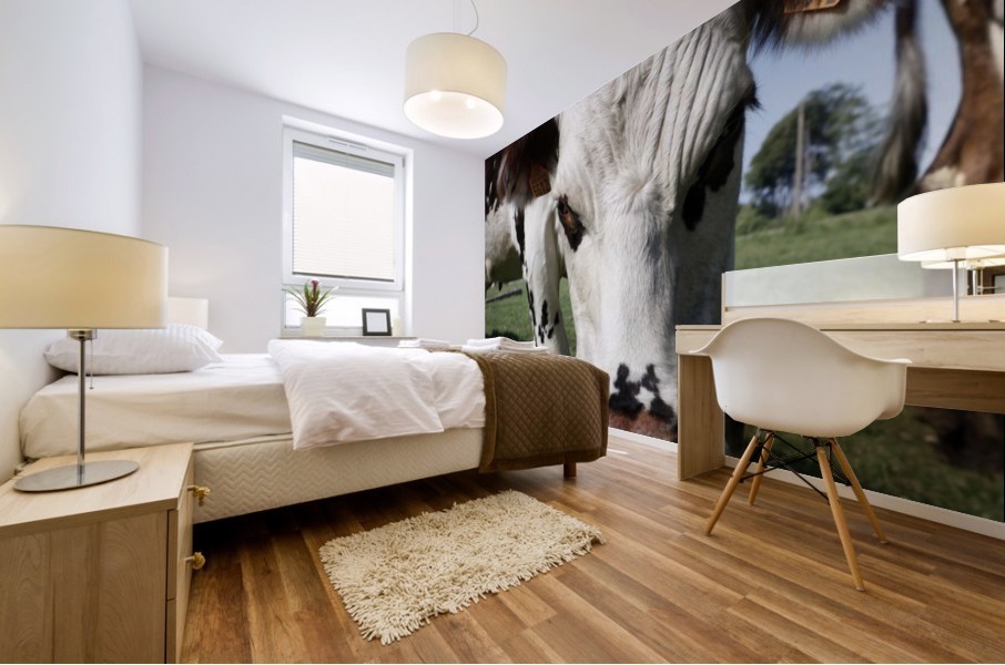 Cow Mural print