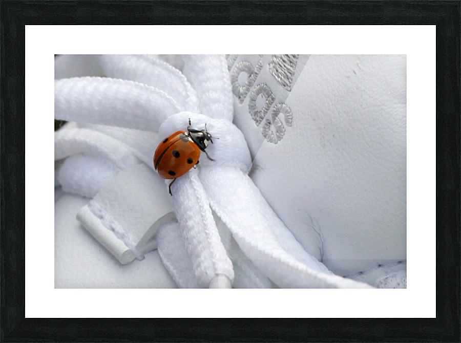 Ladybug Picture Frame print