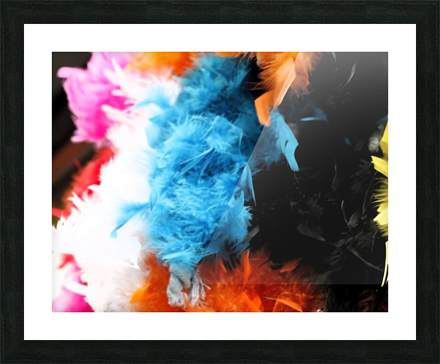 Colourful Feathers Picture Frame print