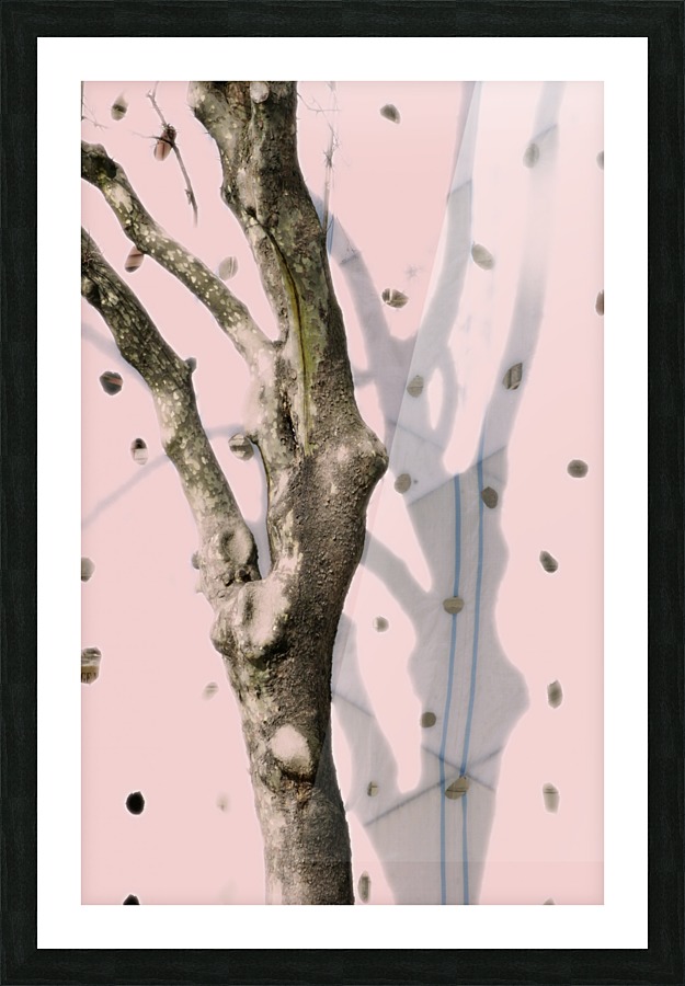 Istambul Dancing Tree Picture Frame print