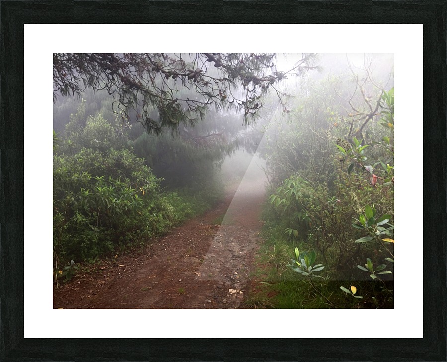 Where Gnomes Live Picture Frame print