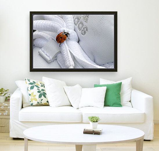 Ladybug Reproduction