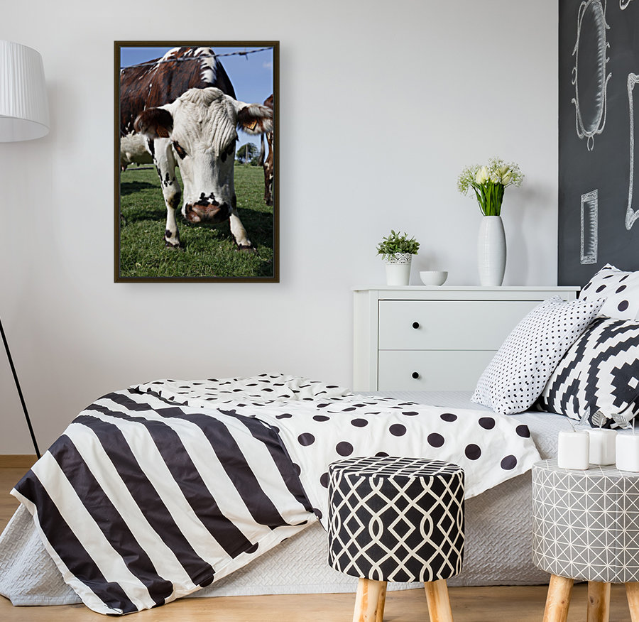 Cow Reproduction