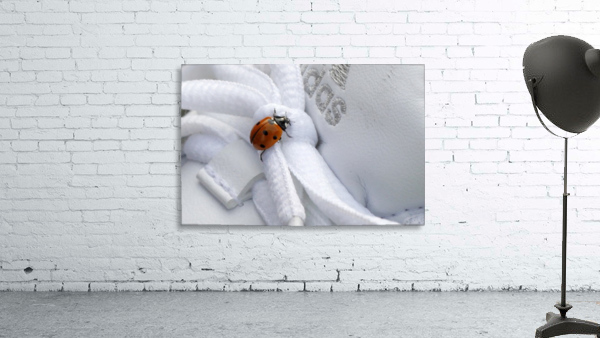 Ladybug Wall Preview