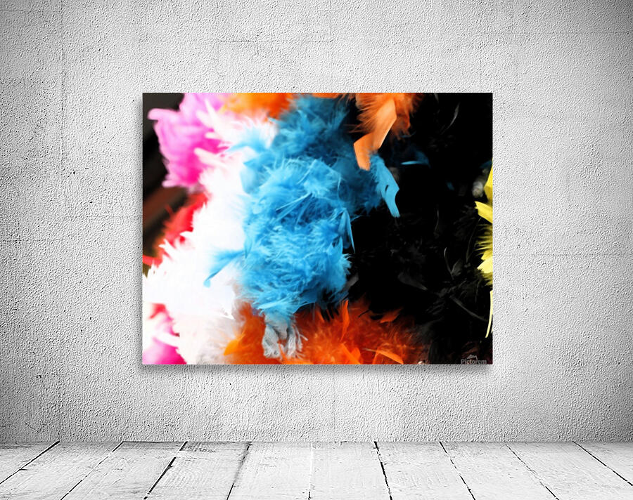 Colourful Feathers Wall Preview