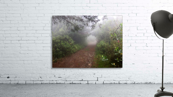 Where Gnomes Live Wall Preview