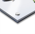 Diving Heron Acrylic print