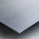 Diving Heron Metal print