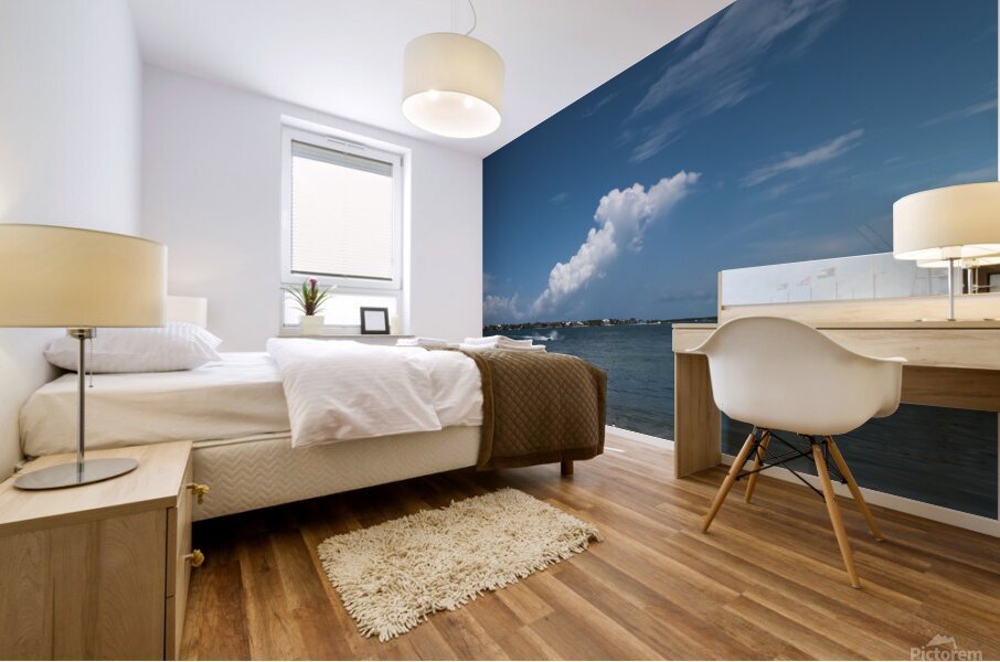 Ramp Approach Mural print