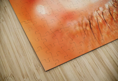 Eye 2 CB Plakaris puzzle