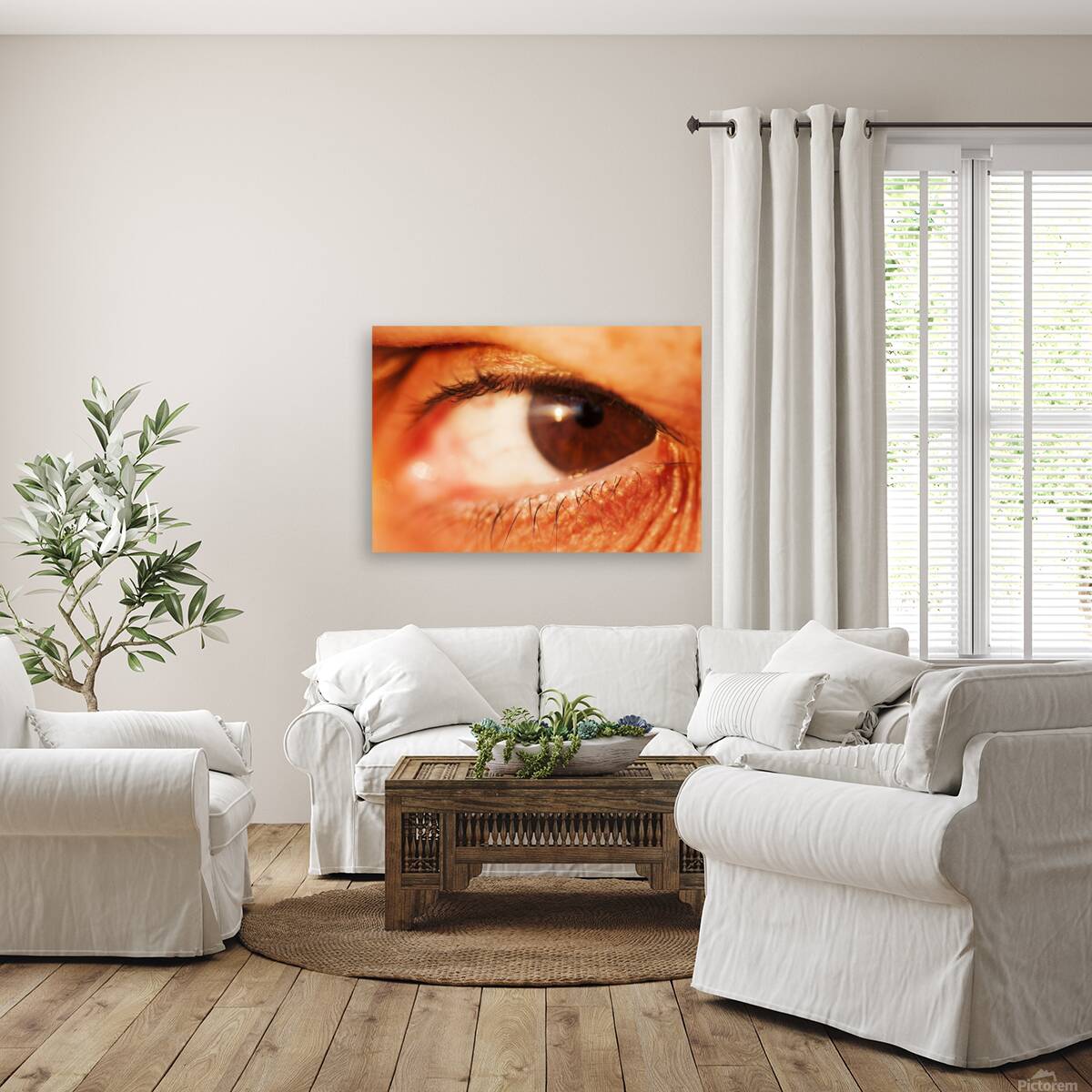 Eye 2 Reproduction