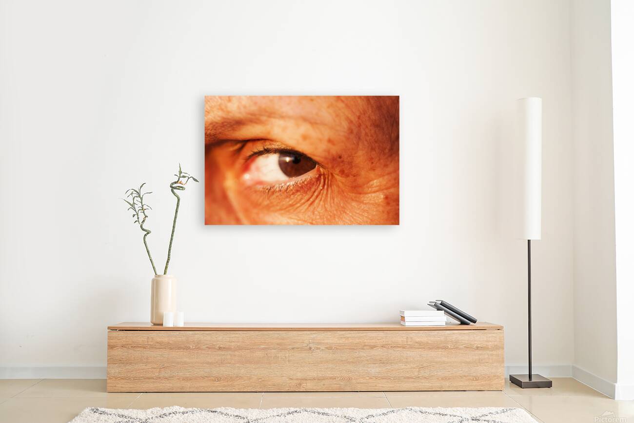 Eye 1 Reproduction
