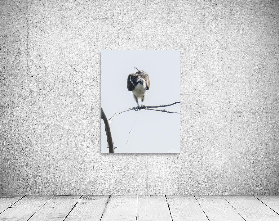 Things Happen Wall Preview