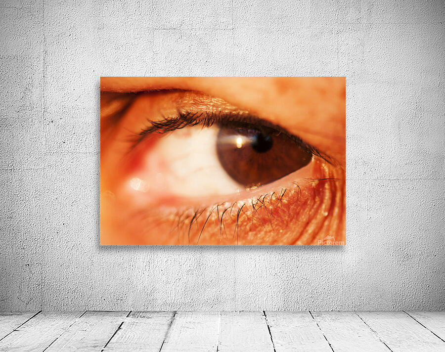 Eye 2 Wall Preview