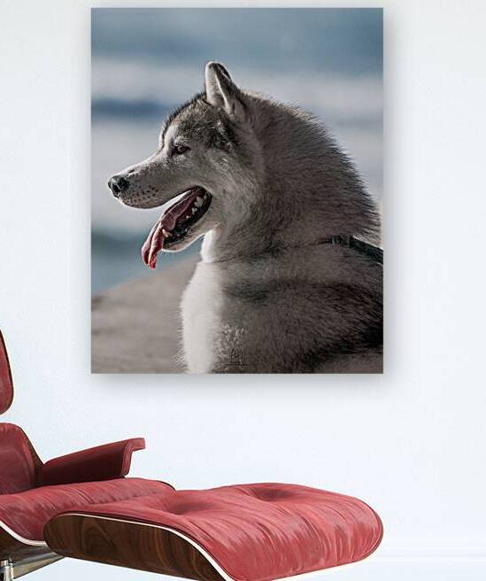JauJau Lovers Colection: Fine Art Canina & Equina 1 by Carlos Arturo Arbeláez Sánchez