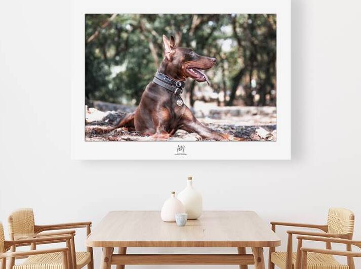 JauJau Lovers Colection: Fine Art Canina & Equina 1 by Carlos Arturo Arbeláez Sánchez