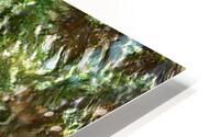 New Eden HD Metal print