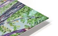 Provence Studio HD Metal print