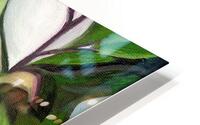 Magnolia 2 HD Metal print