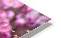 Spring background fruit flowers on wooden table 2 HD Metal print