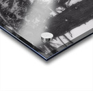 Antique Acrylic print