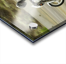 Buell Acrylic print