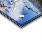 Pine with a view Acrylic print