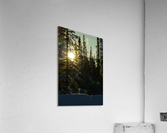 Winter Sunrise Acrylic Print