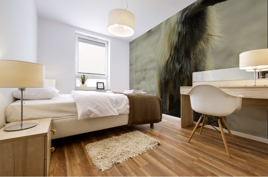 Fox Mural print