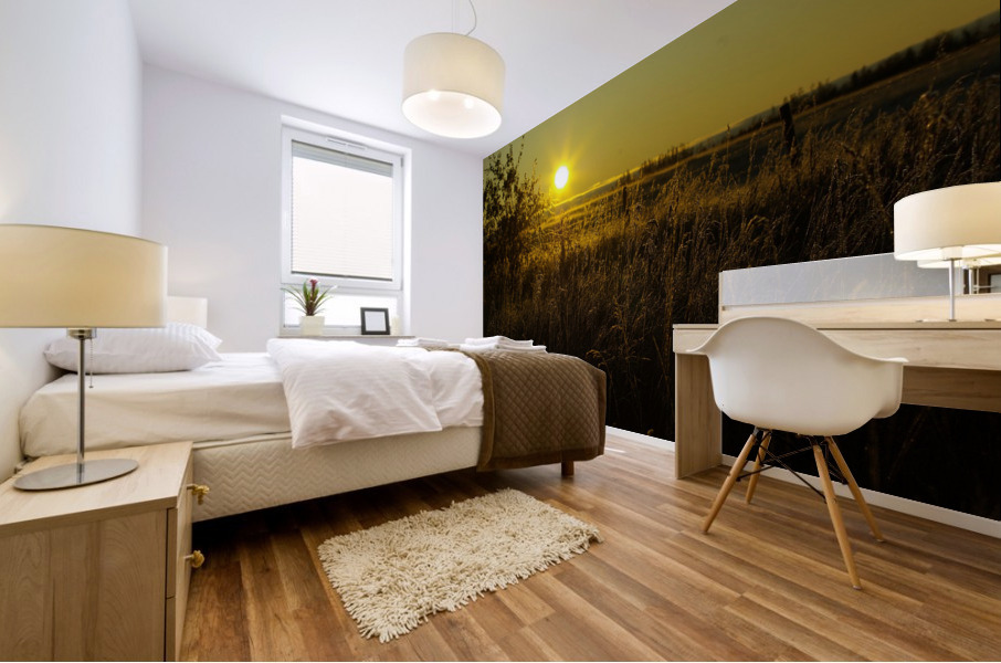 Fall Sunrise Mural print