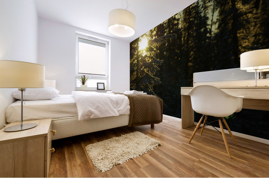 Winter Sunrise Mural print
