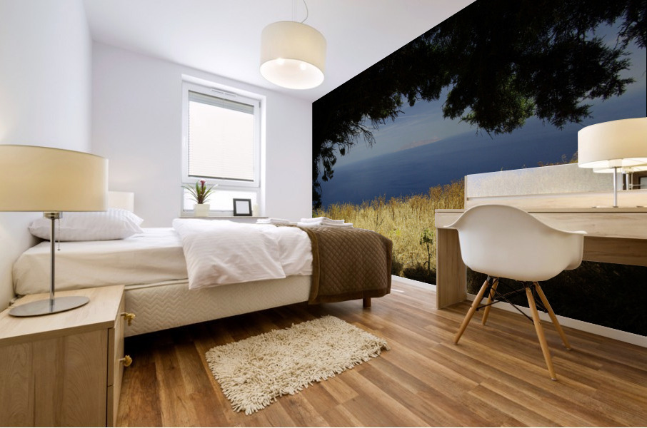 Santorini Trees Mural print