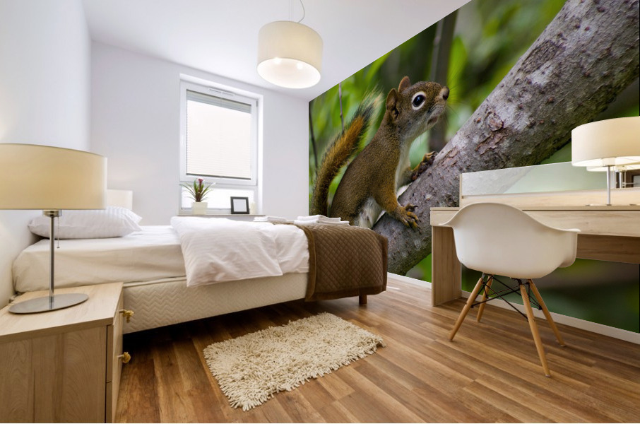 Squirrel Mural print
