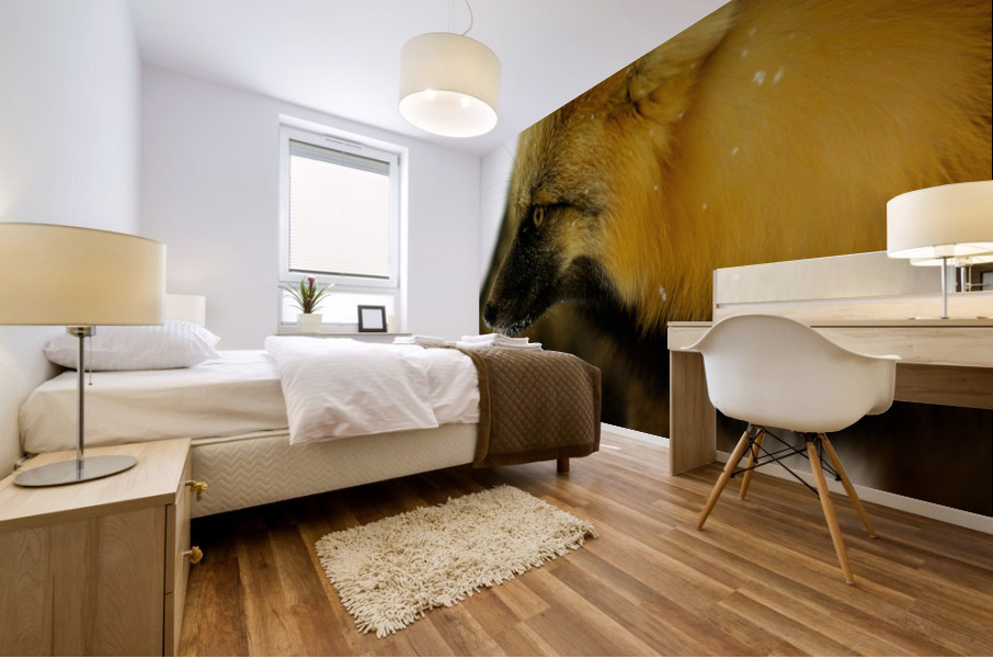 Red Fox Mural print