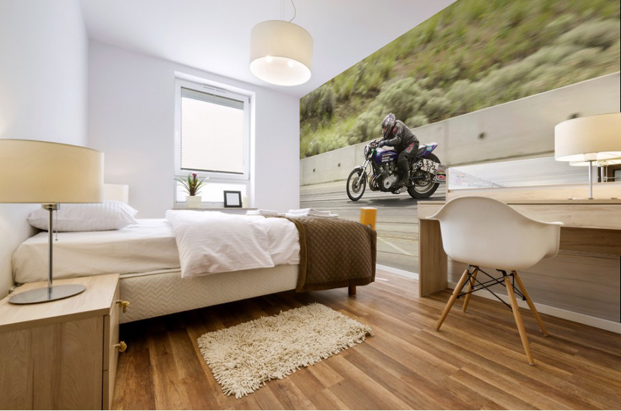 Superbike Mural print
