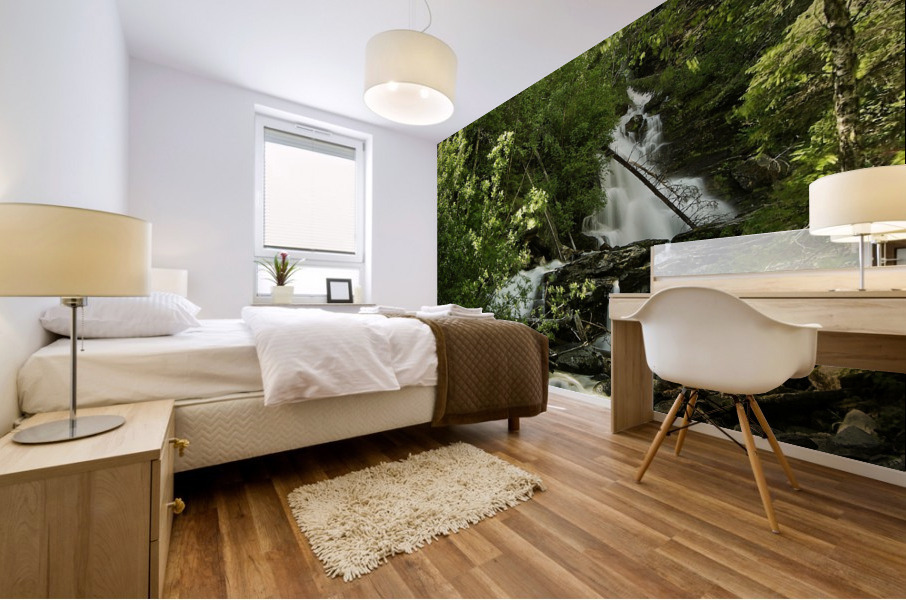 Bijoux Falls Mural print