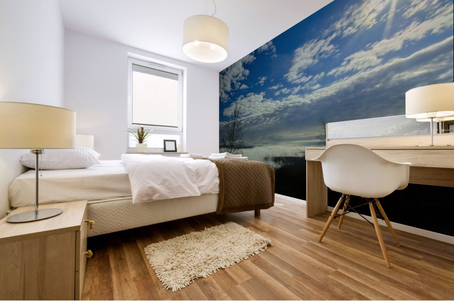 Fog on the River Mural print