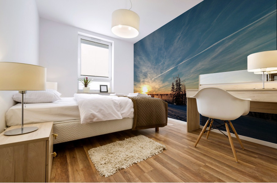 Winter Sunset Mural print