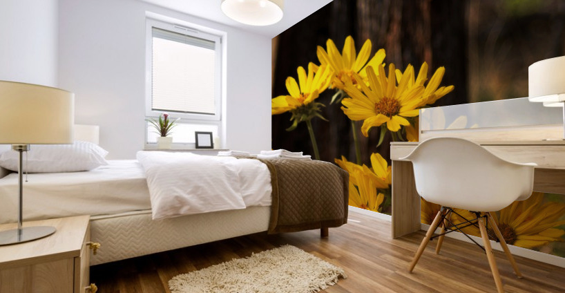 Balsam root Mural print