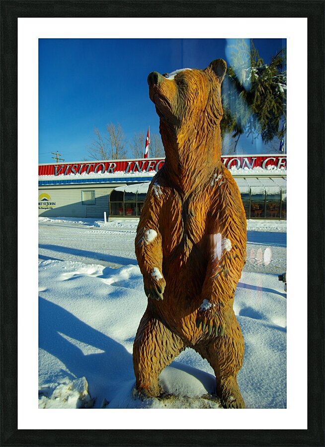 Bear on Guard Picture Frame print