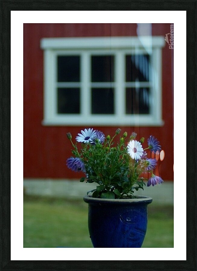 Flowerpot Picture Frame print