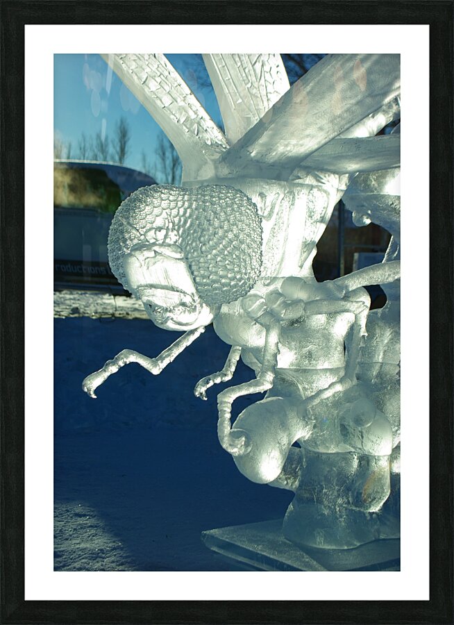 Ice Dragonfly Picture Frame print