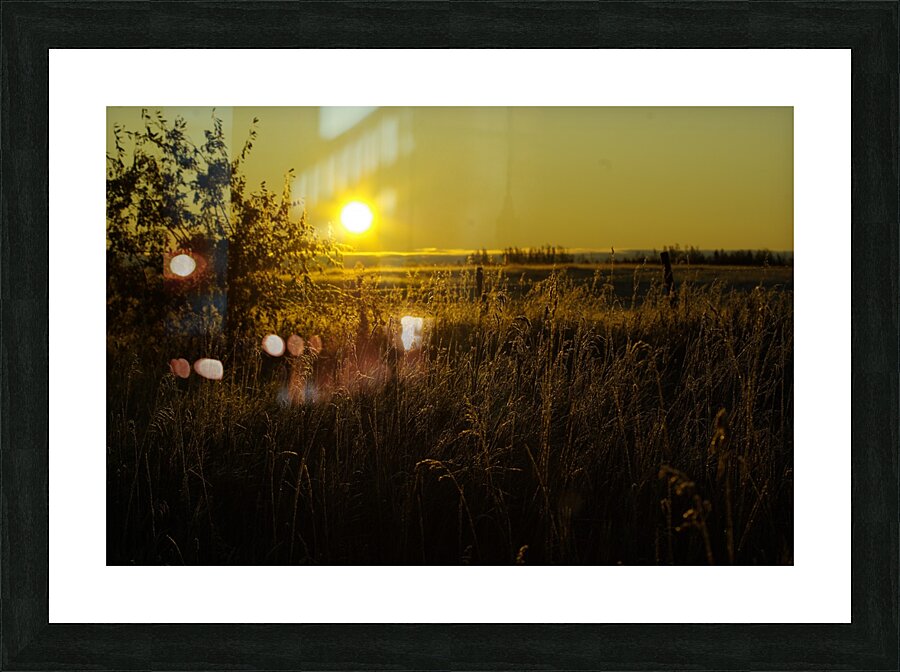 Fall Sunrise Picture Frame print