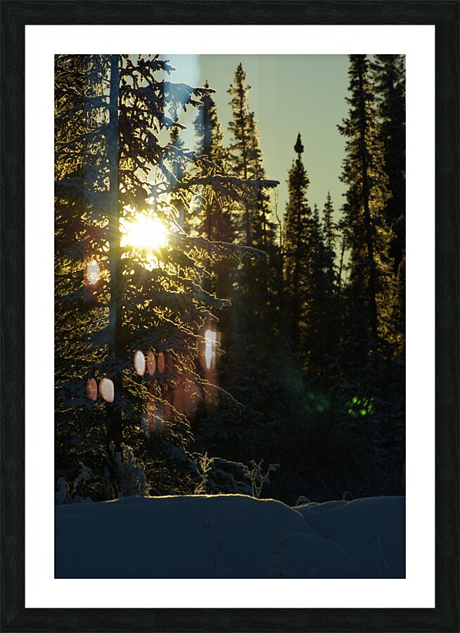 Winter Sunrise Picture Frame print