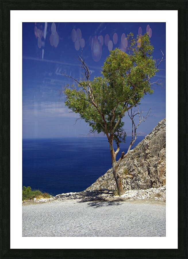Santorini Tree Picture Frame print