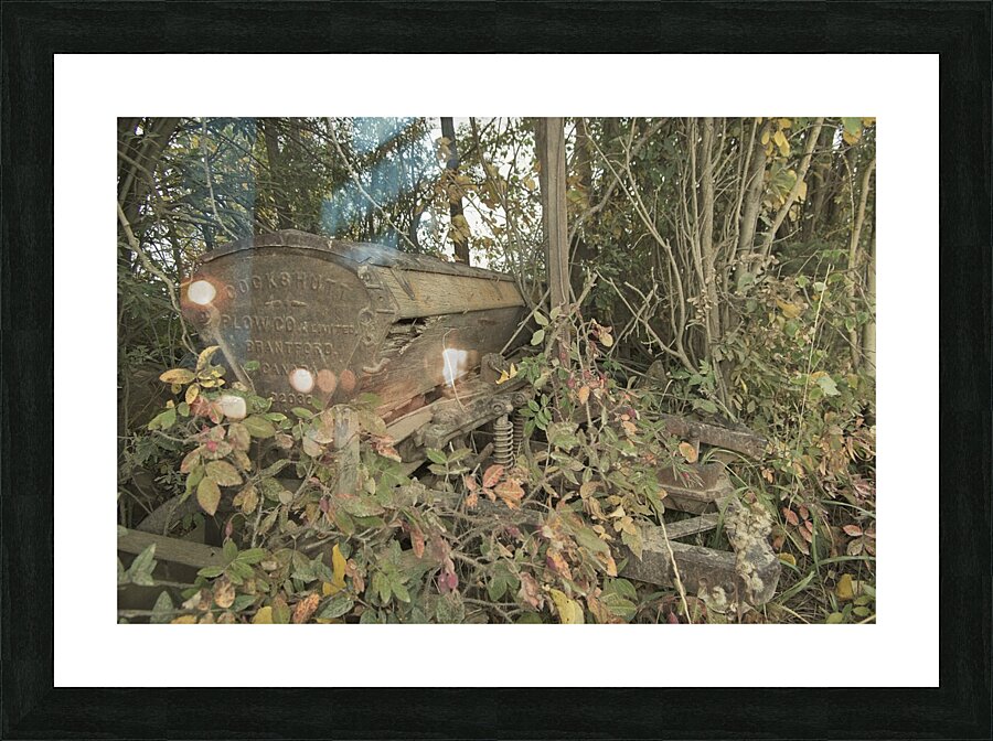 Overgrown Picture Frame print
